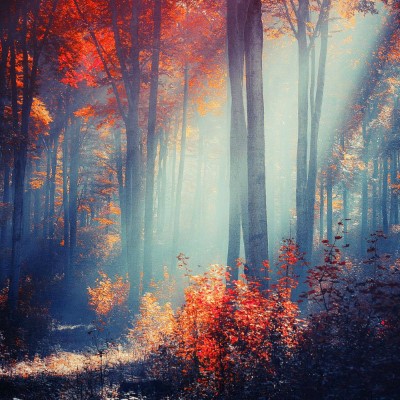 1920 x 1080 HD Wallpapers 1361